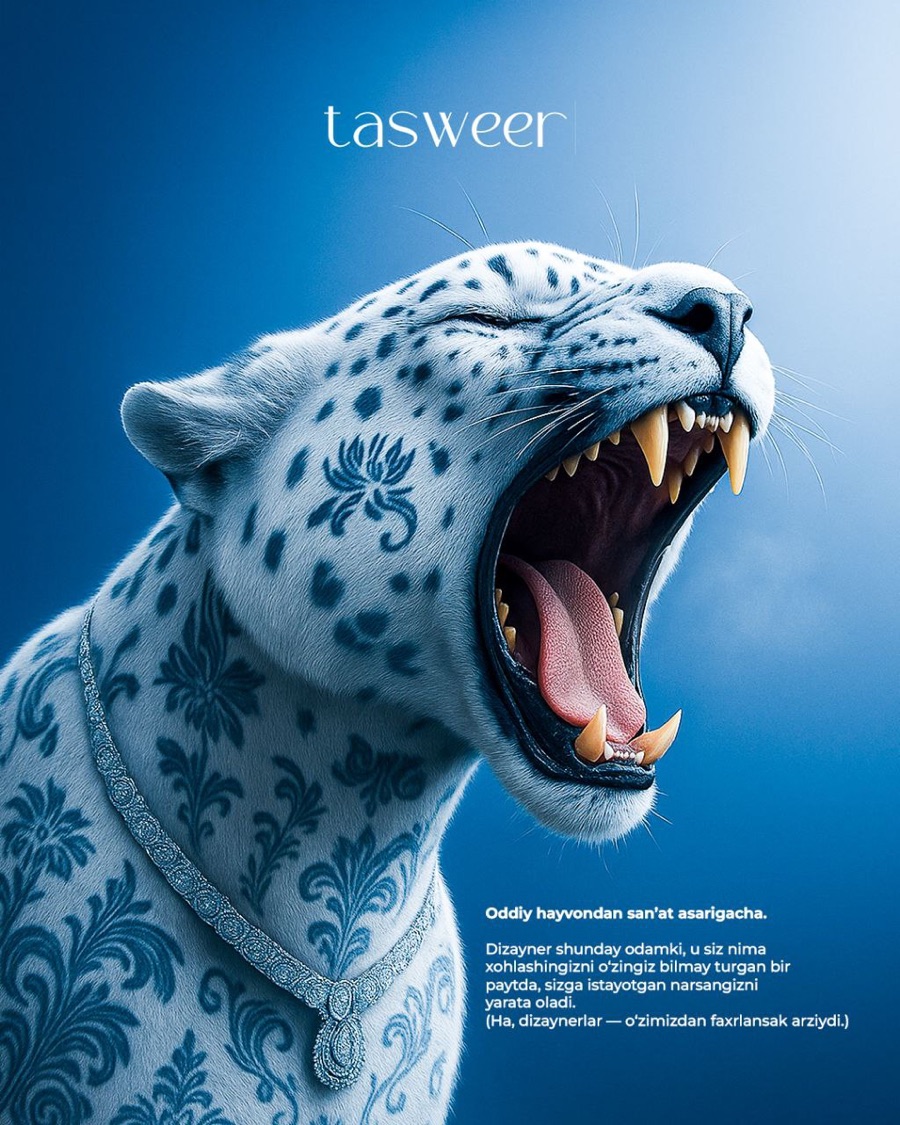 Tasweer ishi